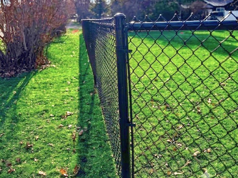 To Repair or Replace Your Fence? That Is the Question!