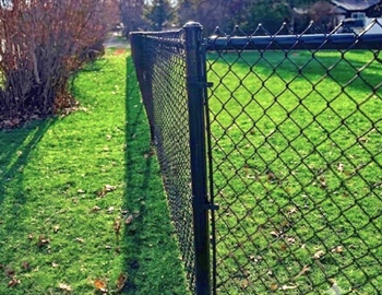 To Repair or Replace Your Fence? That Is the Question!